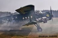 An-2TD_Colt_PolAF_7447_13_ELT_07~0.jpg