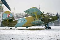 An-2TD_Colt_Pol_AF_8554_8BLT_00.jpg