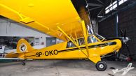 Aviat_A-1A_Husky_SP-OKO02.jpg
