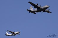 C-130E_Hercules_PolAF_1504_16.jpg