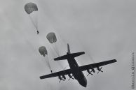 C-130E_Hercules_PolAF_1505_20.jpg