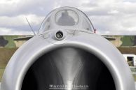 Lim-2_28Mig-1529_Fagot-B_PolAF_801_02.jpg