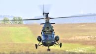 Mi-2D_Hoplite_PolandArmy_49_psb_5244_02.jpg
