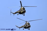 Mi-2URP_Hoplite_PolandArmy_56psb_733301.jpg
