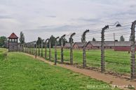 OswiecimMuzeumBirkenauOgrodzenie01.jpg