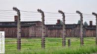 OswiecimMuzeumBirkenauOgrodzenie02.jpg