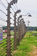 OswiecimMuzeumBirkenauOgrodzenie06.jpg