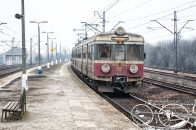PaFaWagEN71-001rbPRSpzooKrakowMydlniki01.jpg
