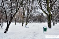 Park_JordanaAlejaSrodkowa03.jpg