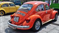 Vw_Garbus_130312.jpg