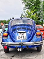 Vw_Garbus_130317.jpg