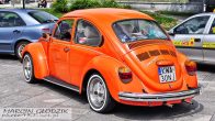 Vw_Garbus_130321.jpg