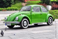 Vw_Garbus_1303S20.jpg