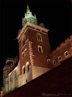 Wawel_006.jpg