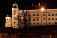 Wawel_009.jpg