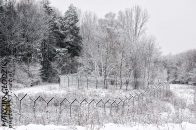 Nazwa pliku=drzewa_morawickie06.jpg
Wielkość pliku=416KiB
Rozmiar=1400x933
Data dodania= 29, Styczeń 2024 drzewa_morawickie06.jpg