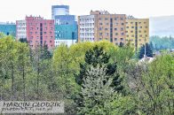 Nazwa pliku=drzewa_zzaOkna_06.jpg
Wielkość pliku=499KiB
Rozmiar=1400x933
Data dodania= 28, Luty 2024 drzewa_zzaOkna_06.jpg