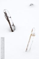 Nazwa pliku=gololedz08.jpg
Wielkość pliku=108KiB
Rozmiar=933x1400
Data dodania= 21, Styczeń 2024 gololedz08.jpg