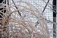 Nazwa pliku=gololedz11.jpg
Wielkość pliku=275KiB
Rozmiar=1400x933
Data dodania= 12, Luty 2024 gololedz11.jpg