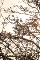 Nazwa pliku=gololedz13.jpg
Wielkość pliku=283KiB
Rozmiar=933x1400
Data dodania= 20, Luty 2024 gololedz13.jpg