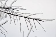 Nazwa pliku=gololedz22.jpg
Wielkość pliku=120KiB
Rozmiar=1400x933
Data dodania= 20, Luty 2024 gololedz22.jpg