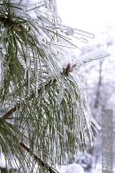 Nazwa pliku=gololedz29.jpg
Wielkość pliku=266KiB
Rozmiar=933x1400
Data dodania= 21, Styczeń 2024 gololedz29.jpg