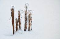 Nazwa pliku=gololedz30.jpg
Wielkość pliku=135KiB
Rozmiar=1400x933
Data dodania= 20, Luty 2024 gololedz30.jpg