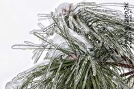 Nazwa pliku=gololedz34.jpg
Wielkość pliku=271KiB
Rozmiar=1400x933
Data dodania= 20, Luty 2024 gololedz34.jpg