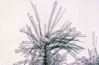 Nazwa pliku=gololedz38.jpg
Wielkość pliku=217KiB
Rozmiar=1400x933
Data dodania= 07, Luty 2024 gololedz38.jpg