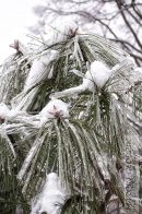 Nazwa pliku=gololedz43.jpg
Wielkość pliku=291KiB
Rozmiar=933x1400
Data dodania= 08, Luty 2024 gololedz43.jpg