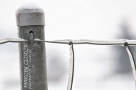 Nazwa pliku=gololedz44.jpg
Wielkość pliku=126KiB
Rozmiar=1400x933
Data dodania= 20, Luty 2024 gololedz44.jpg