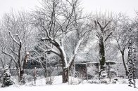 Nazwa pliku=jablon_Morawicka05.jpg
Wielkość pliku=468KiB
Rozmiar=1400x933
Data dodania= 30, Styczeń 2024 jablon_Morawicka05.jpg